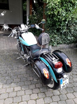 Honda-VT-1100-SC-23-sissybar-rijder-(1)